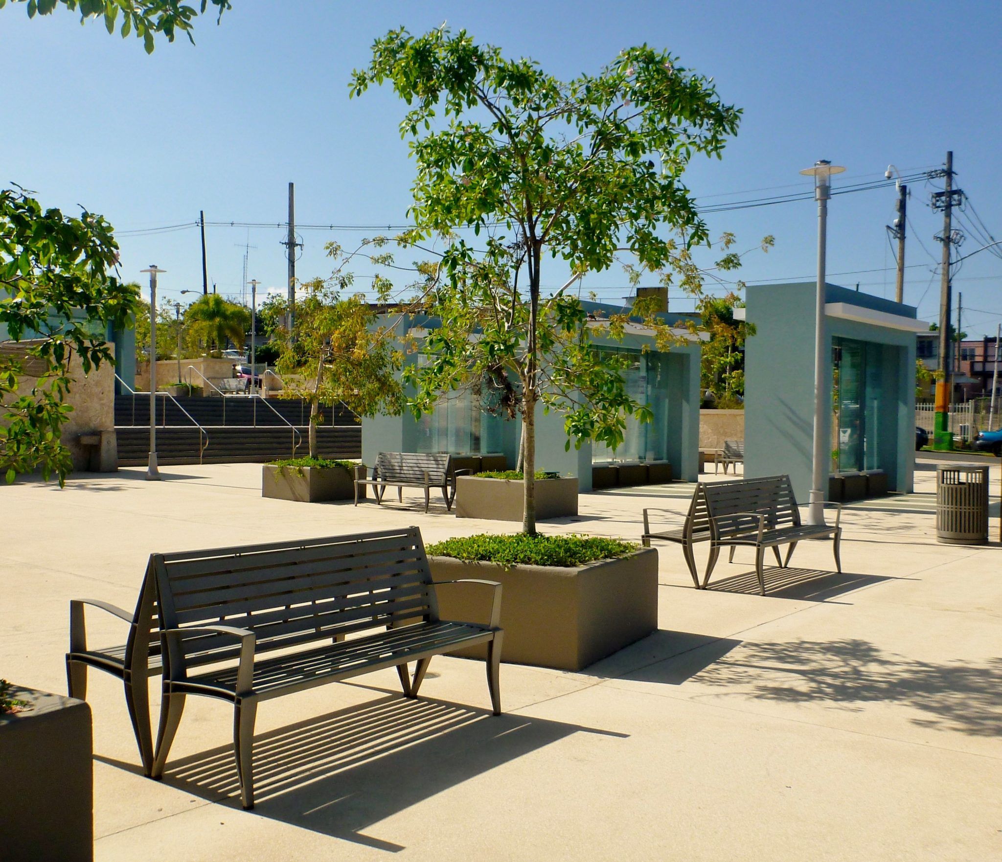Black benches and trees