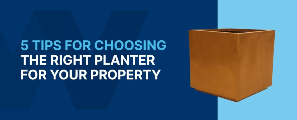 5 tips on choosing planter